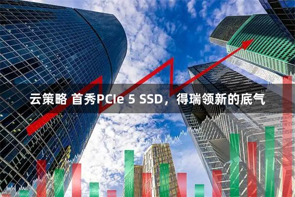 云策略 首秀PCIe 5 SSD，得瑞领新的底气