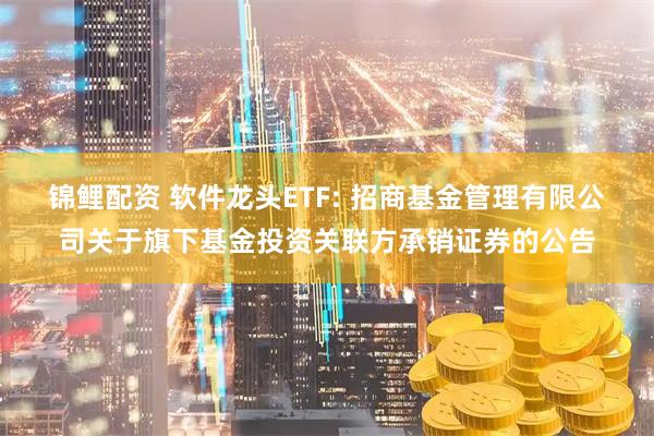 锦鲤配资 软件龙头ETF: 招商基金管理有限公司关于旗下基金投资关联方承销证券的公告