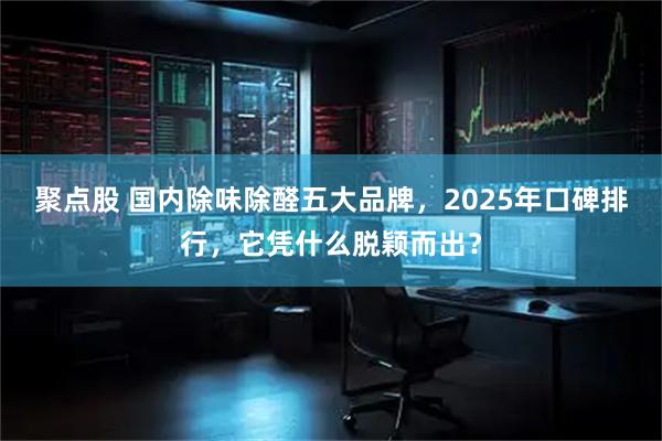 聚点股 国内除味除醛五大品牌，2025年口碑排行，它凭什么脱颖而出？