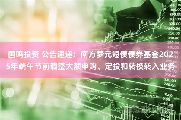 国鸣投资 公告速递：南方梦元短债债券基金2025年端午节前调整大额申购、定投和转换转入业务