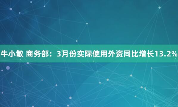 牛小散 商务部：3月份实际使用外资同比增长13.2%