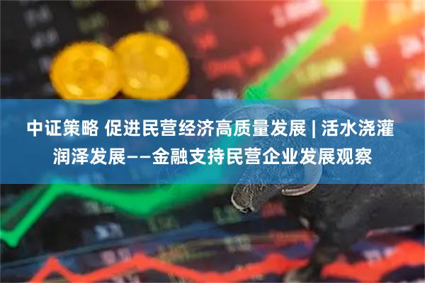 中证策略 促进民营经济高质量发展 | 活水浇灌 润泽发展——金融支持民营企业发展观察